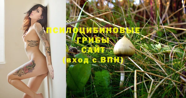 спайс Ладушкин