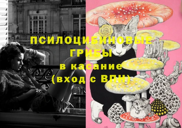 спиды Лиски