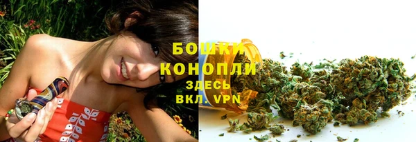 спайс Ладушкин