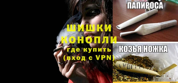 спайс Ладушкин