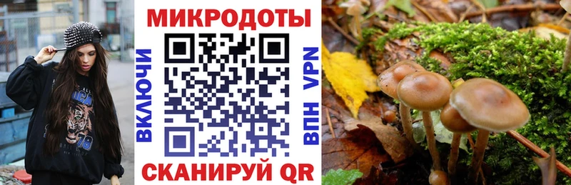 Псилоцибиновые грибы мицелий Ревда