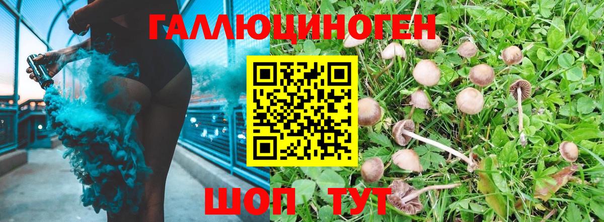 Ревда  Псилоцибиновые грибы MAGIC MUSHROOMS  Вход с VPN 